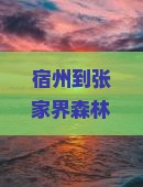 宿州到张家界森林公园门票