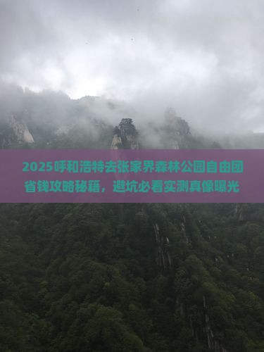 呼和浩特去张家界森林公园自由团