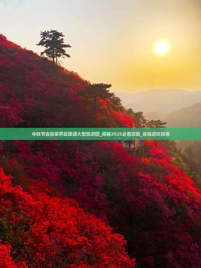 中秋节去张家界武陵源大型旅游团
