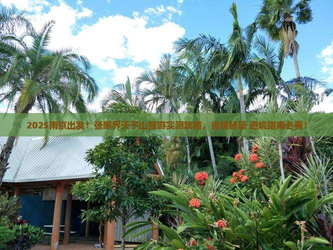 南京去张家界天子山旅游