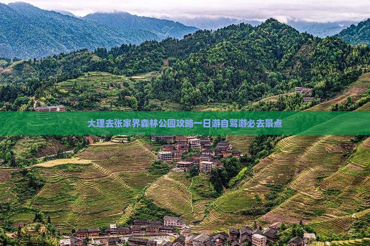 大理去张家界森林公园攻略