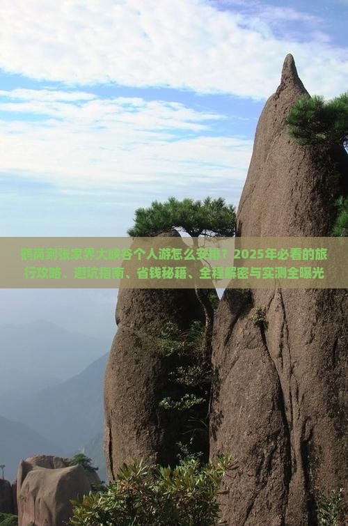 鹤岗到张家界大峡谷个人游