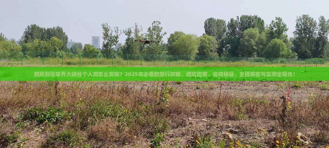 鹤岗到张家界大峡谷个人游