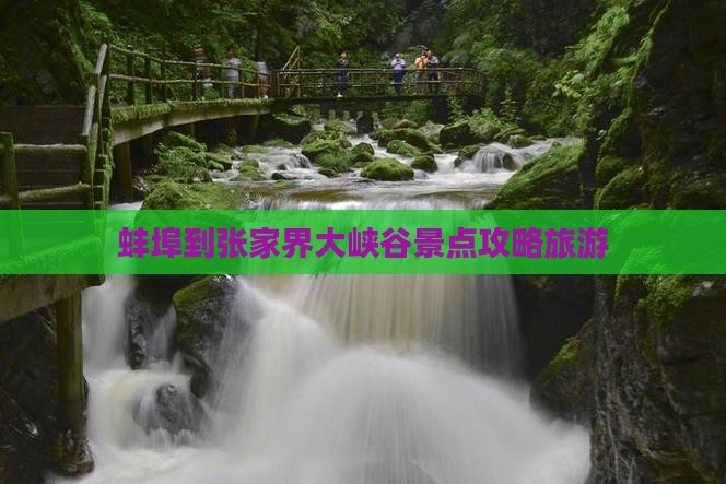 蚌埠到张家界大峡谷哪里玩