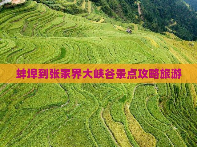 蚌埠到张家界大峡谷哪里玩