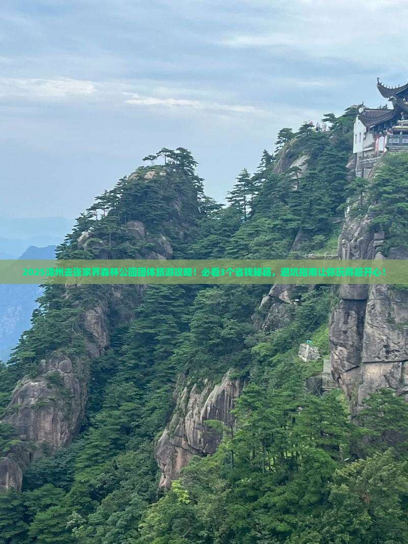 漳州去张家界森林公园团体旅游
