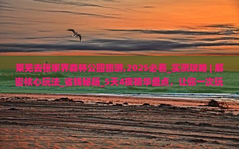 莱芜去张家界森林公园旅游