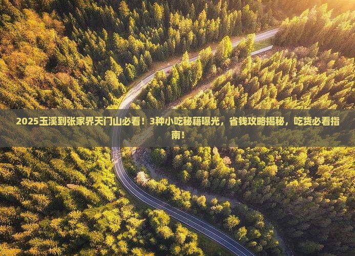 玉溪到张家界天门山旅游小吃
