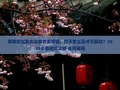 攀枝花去张家界芙蓉镇四日游