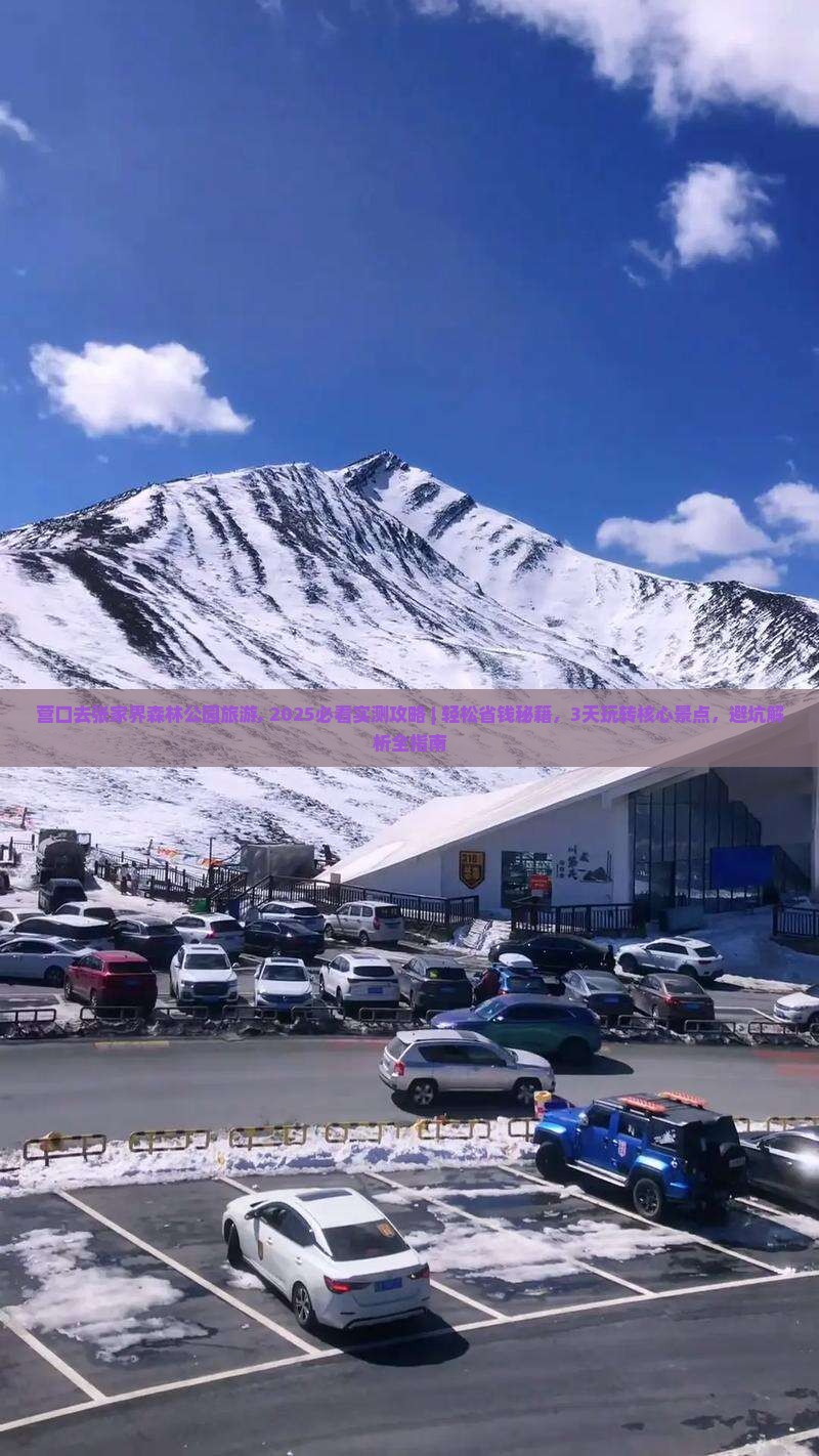 营口去张家界森林公园旅游