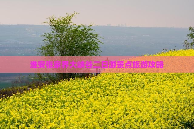 淮安到张家界大峡谷二日游