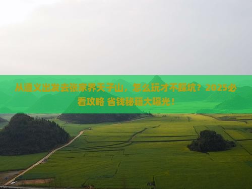 遵义去张家界天子山哪里玩