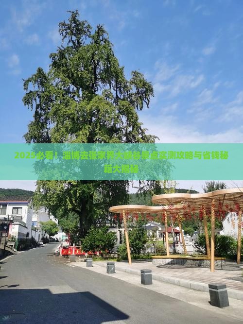 淄博去张家界大峡谷景点