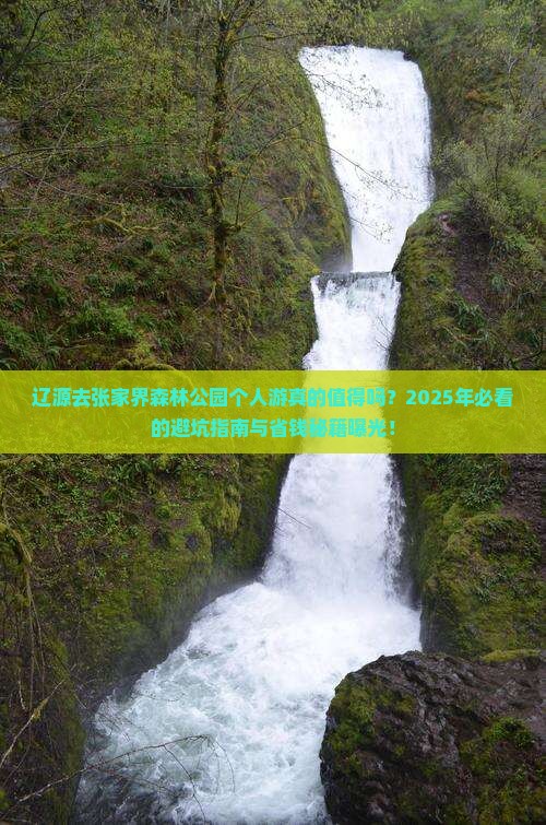 辽源去张家界森林公园个人游