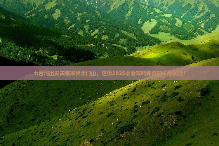 七台河去张家界天门山大型旅游团