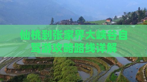 仙桃到张家界大峡谷个人游