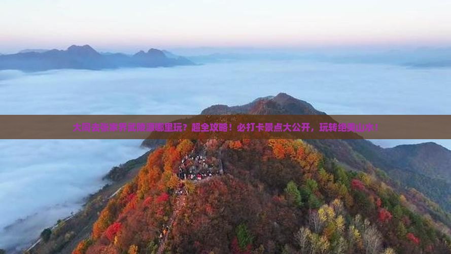 大同去张家界武陵源哪里玩