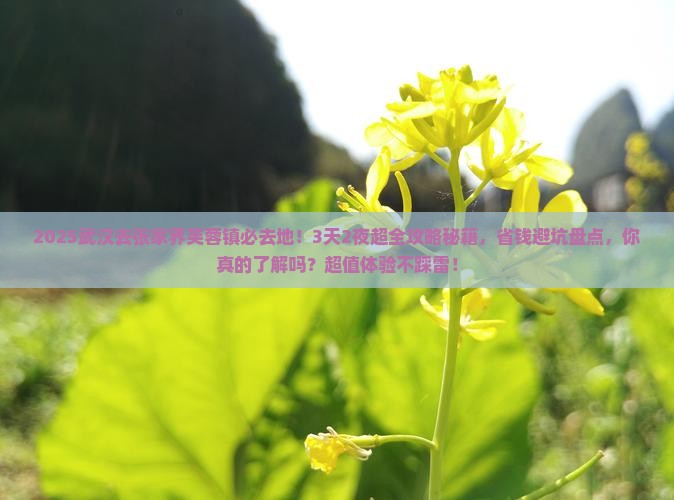 武汉去张家界芙蓉镇必去地