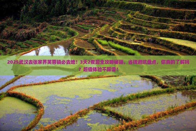 武汉去张家界芙蓉镇必去地