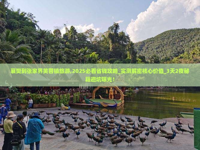 襄樊到张家界芙蓉镇旅游 襄樊到张家界芙蓉镇旅游