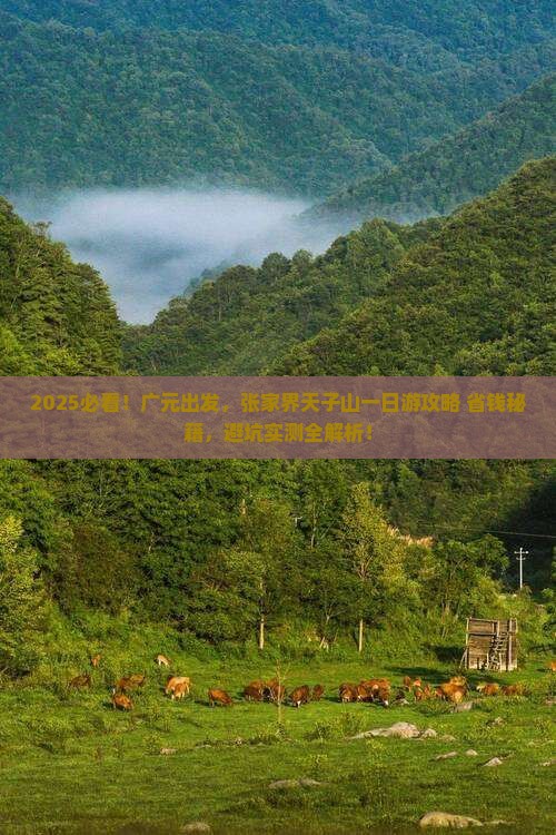 广元去张家界天子山一日