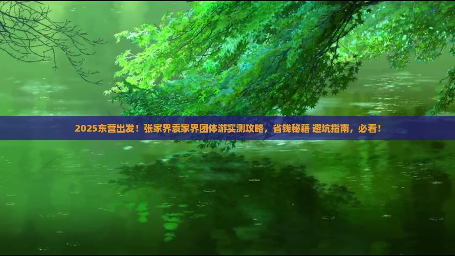 东营到张家界袁家界团体旅游