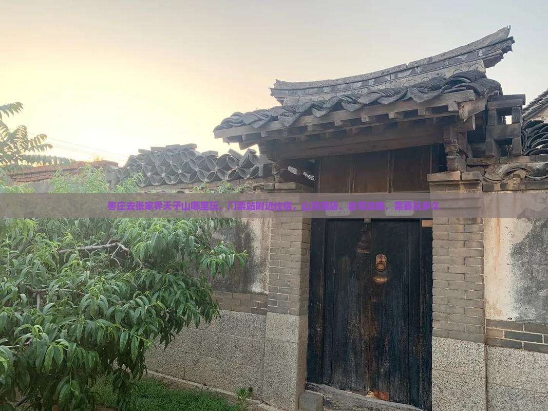 枣庄去张家界天子山哪里玩