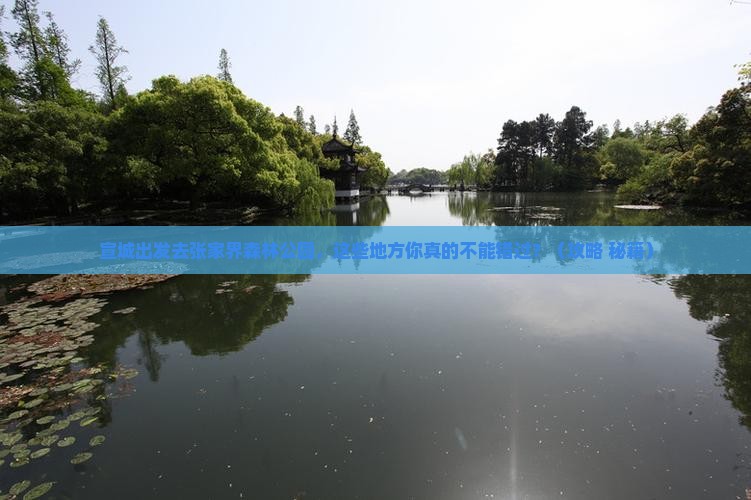 宣城去张家界森林公园必去地