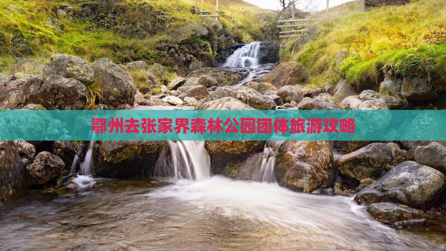 鄂州去张家界森林公园团体旅游