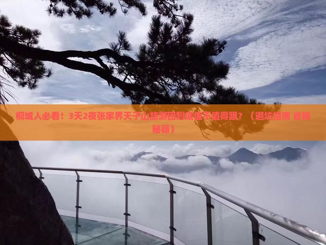 桐城去张家界天子山大型旅游团