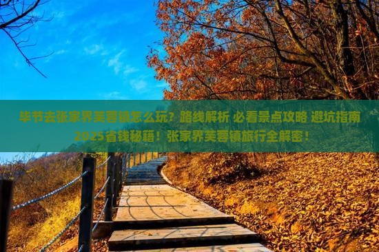 毕节去张家界芙蓉镇哪里玩