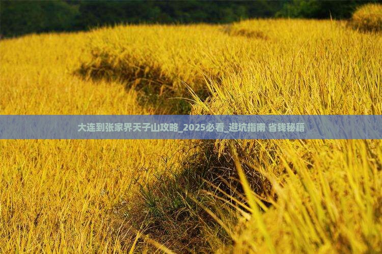 大连到张家界天子山攻略