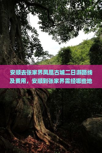 安顺去张家界凤凰古城二日游