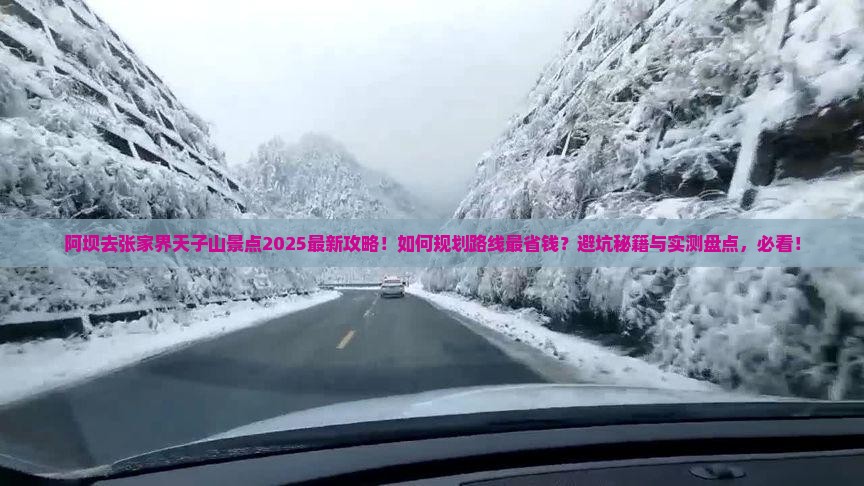 阿坝去张家界天子山景点