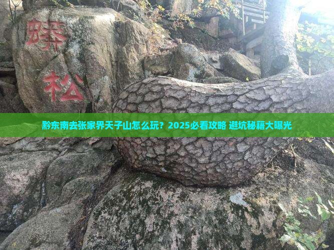 黔东南去张家界天子山旅行社