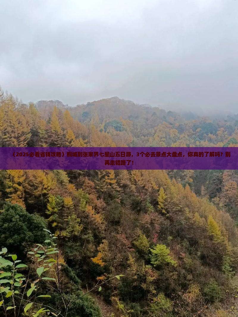 桐城到张家界七星山五日游