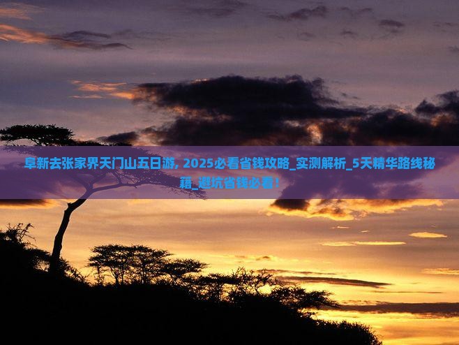 阜新去张家界天门山五日游