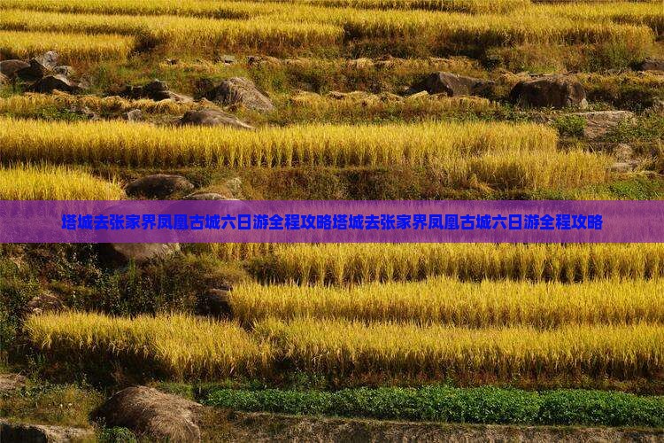 塔城去张家界凤凰古城六日游