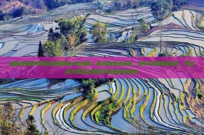 益阳去张家界凤凰古城旅游小吃