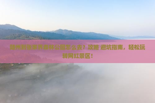 随州到张家界森林公园旅游