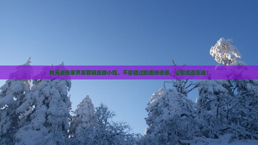 秋天去张家界芙蓉镇旅游小吃