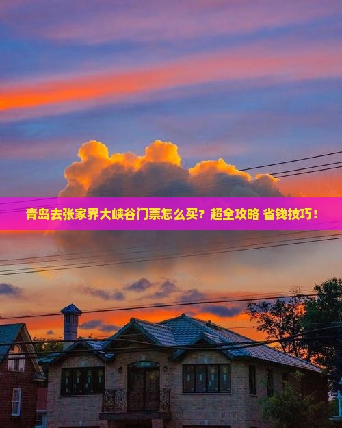 青岛去张家界大峡谷门票