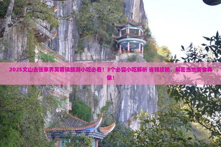 文山去张家界芙蓉镇旅游小吃