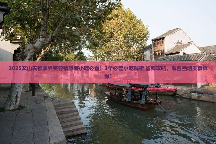 文山去张家界芙蓉镇旅游小吃