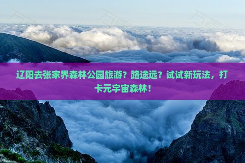 辽阳去张家界森林公园旅游？路途远？试试新玩法，打卡元宇宙森林！