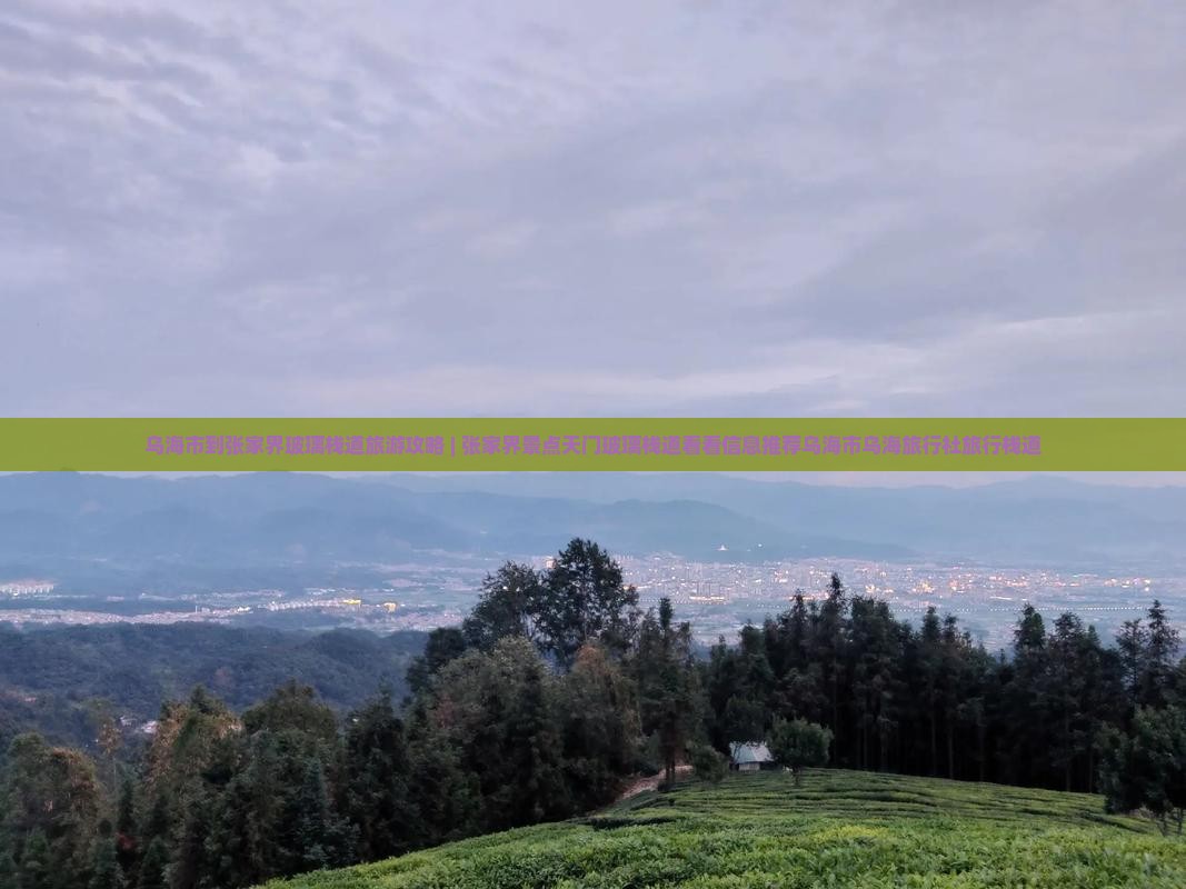 乌海市到张家界玻璃栈道旅游攻略 | 张家界景点天门玻璃栈道看看信息推荐乌海市乌海旅行社旅行栈道
