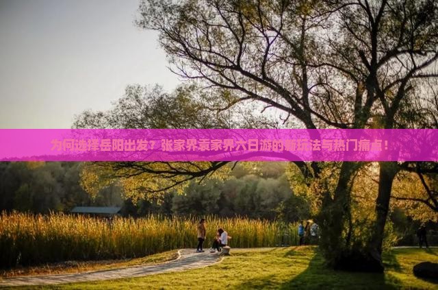 为何选择岳阳出发？张家界袁家界六日游的新玩法与热门痛点！