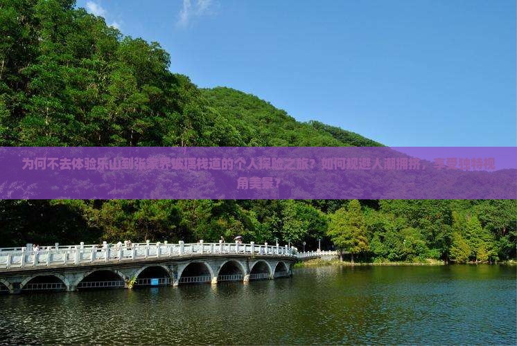 为何不去体验乐山到张家界玻璃栈道的个人探险之旅？如何规避人潮拥挤，享受独特视角美景？