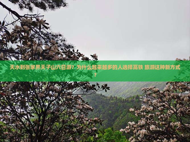 天水到张家界天子山六日游？为什么越来越多的人选择高铁+旅游这种新方式？