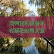 如何规划乌鲁木齐至张家界大峡谷的自由团行程，解决交通与住宿痛点，享受个性化旅行体验？